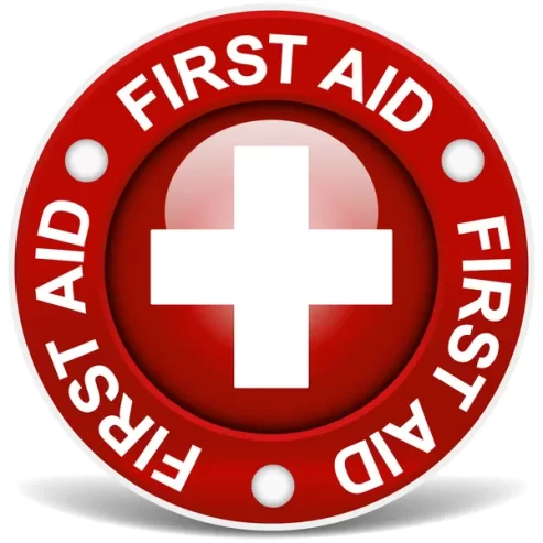 FIRST AID TRAINING IN MALELANE. PLASCOM +27761606532